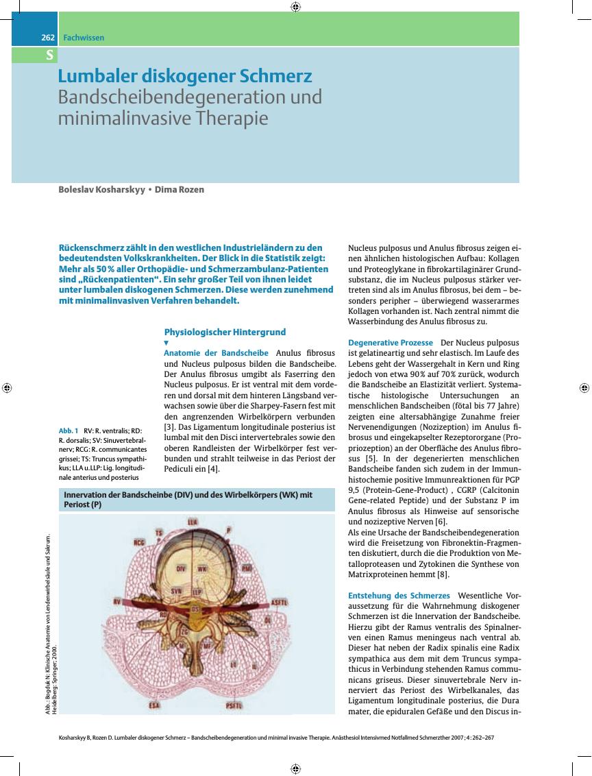 Vorschauseite 1: Lumbaler diskogener Schmerz. Bandscheibendegeneration und minimalinvasive Therapie
