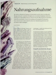 Vorschauseite 1: Nahrungsaufnahme mit schweren Folgen