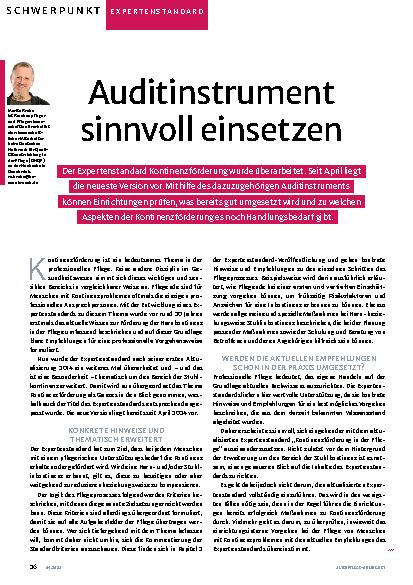 Vorschauseite 1: Auditinstrument sinnvoll einsetzen