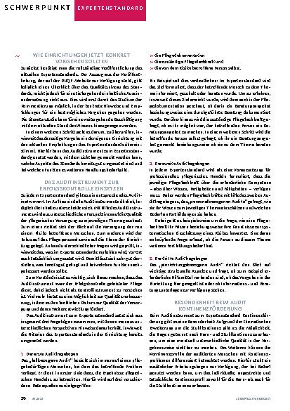 Vorschauseite 3: Auditinstrument sinnvoll einsetzen
