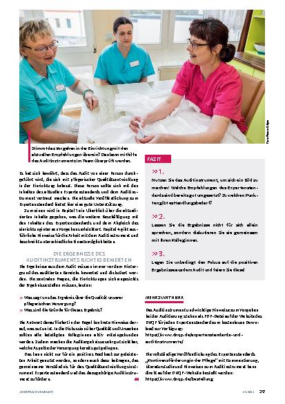 Vorschauseite 4: Auditinstrument sinnvoll einsetzen