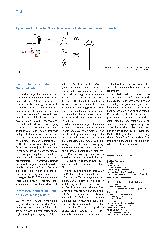 Vorschauseite 3: Beispiel im Norden: Rasante Retter in der Not
