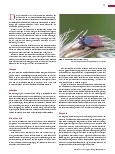 Vorschauseite 2: Lyme-Borreliose Infektion mit variablem Verlauf