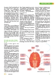 Vorschauseite 4: Der „sensitive“ Nacken: Unterschätzter Auslöser diverser Krankheitssymptome und Erkrankungen.