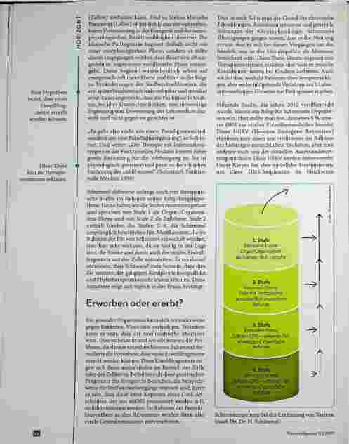 Vorschauseite 3: Infektionen und chronische Erkrankungen