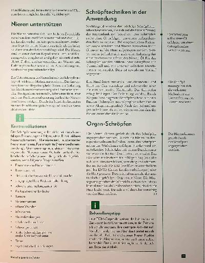 Vorschauseite 2: Natürliche Entgiftung Mit Schröpfen die Nieren unterstützen