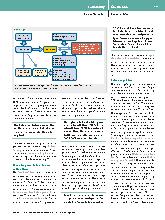 Vorschauseite 3: Kalium – was Intensivmedizinerinnen und Intensivmediziner wissen sollten