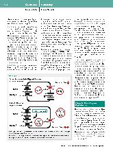 Vorschauseite 4: Kalium – was Intensivmedizinerinnen und Intensivmediziner wissen sollten