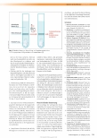Vorschauseite 5: Alginate in der Wundtherapie: Eigenschaften und Verordnungsfähigkeit