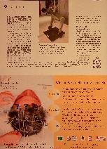 Vorschauseite 3: Konkurrenz für R2-D2