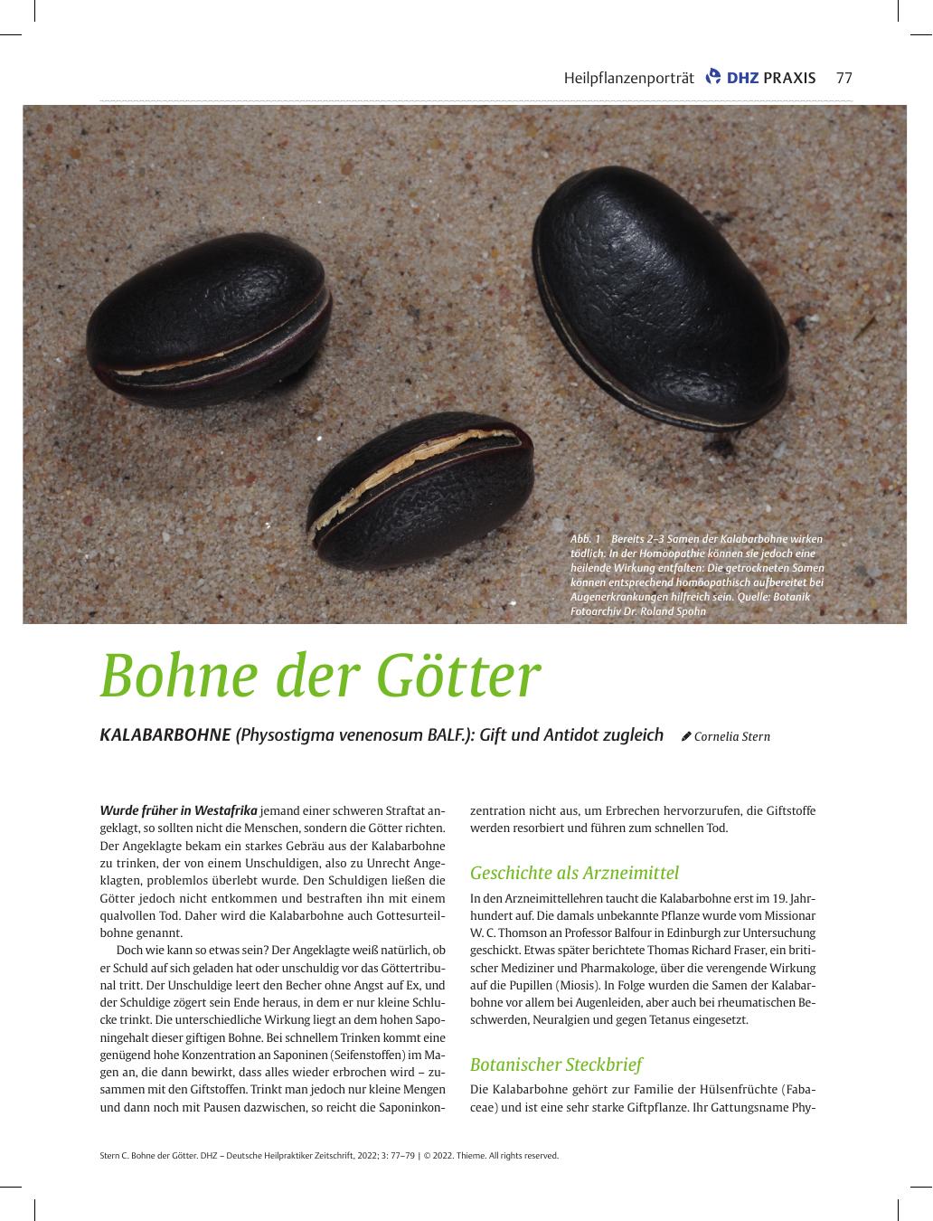Vorschauseite 1: Bohne der Götter