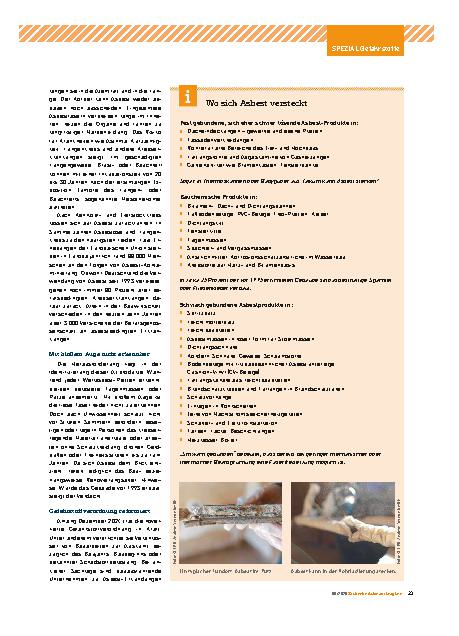 Vorschauseite 2: Ist das Gebäude asbestfrei?