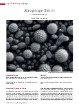 Vorschauseite 1: Allergologie (Teil 6) Krankheitsbilder (I)