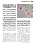 Vorschauseite 4: Allergologie (Teil 6) Krankheitsbilder (I)