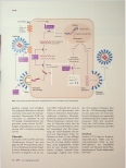 Vorschauseite 2: Das Interaktionspotenzial der antiretroviralen HIV-Therapeutika