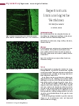 Vorschauseite 1: Repetitorium: Immunologische Verfahren Immunfluoreszenz