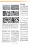 Vorschauseite 2: Effektivität von antimikrobiellen Wundauflagen gegen P. aeruginosa im humanen Biofilm in vitro