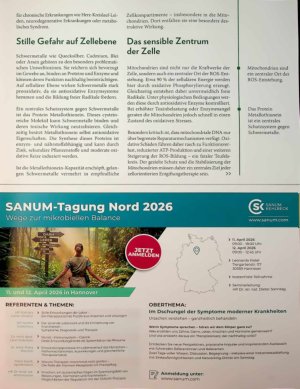 Vorschauseite 2: Mehr als Leberdetox Enzymtherapie zur Entgiftung auf Zellebene