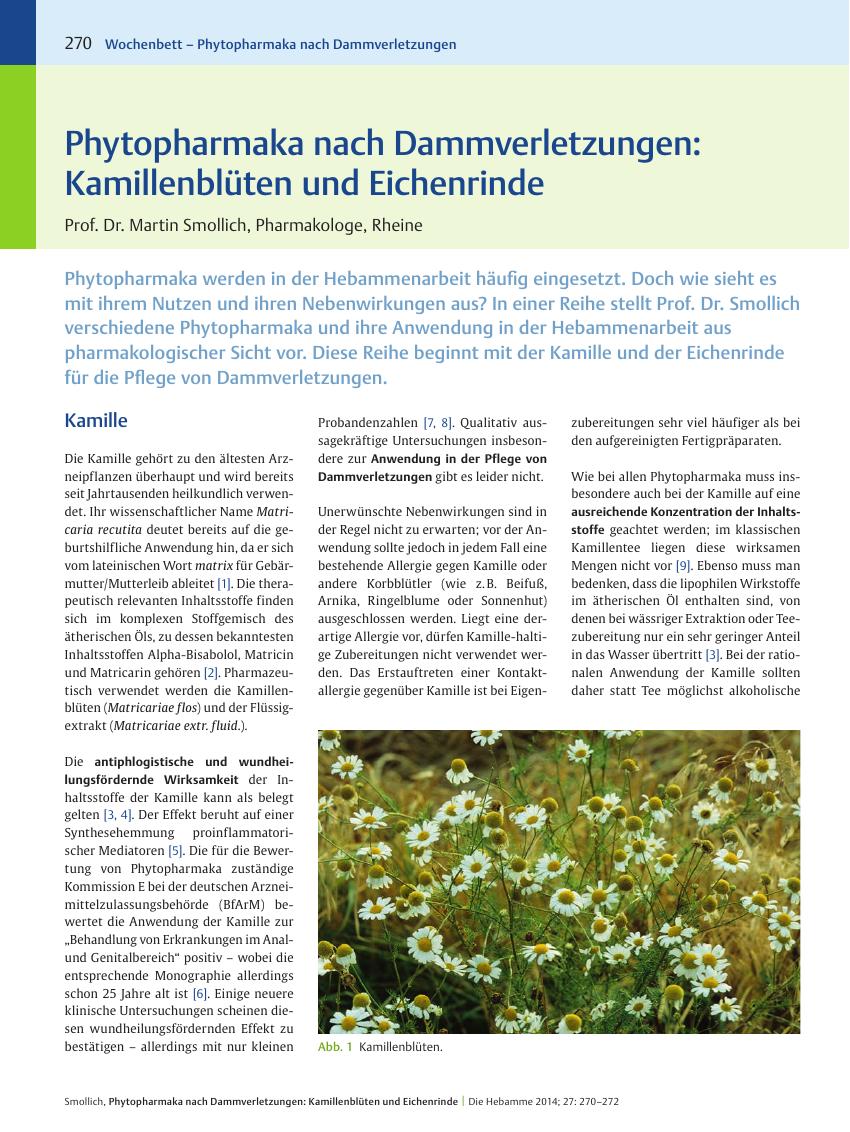 Vorschauseite 1: Phytopharmaka nach Dammverletzungen: Kamillenblüten und Eichenrinde