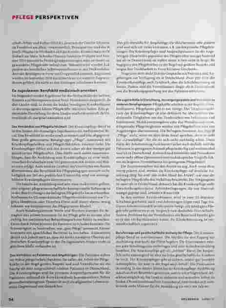 Vorschauseite 2: Bereiches Selbstverständnis ausländischer Pflegender