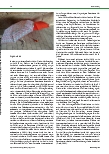 Vorschauseite 2: Behind the Mask: Befunde zum Einfluss auf die Kommunikation