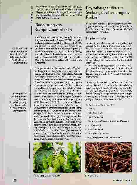 Vorschauseite 2: Pathogenese östrogenabhängiger Mammakarzinome | Natürliche Strategien der Prävention