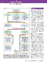 Vorschauseite 3: Schwere Hyponatriämie nach Kombination von Oxytocin mit Desmopressin bei postpartaler Hämorrhagie