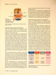 Vorschauseite 3: Heus am Lebensende - Besonderheiten in der Pharmakotherapie