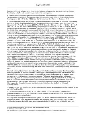 Vorschauseite 3: Zur Vermögenssorge