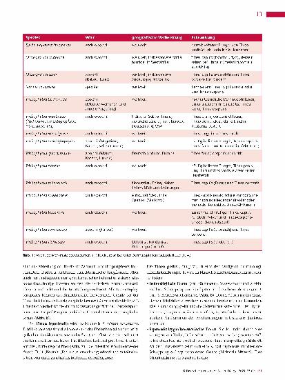 Vorschauseite 4: Dermatophyten und Dermatophytosen (Teil 1)
