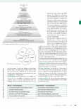Vorschauseite 5: Rituale und Gewohnheiten bei Demenz Teil I: Theoretische Grundlagen