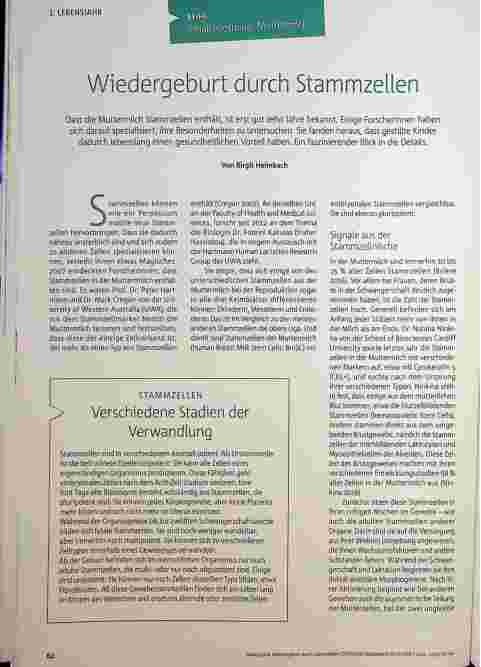 Vorschauseite 1: Wiedergeburt durch Stammzellen