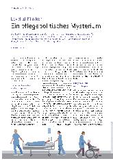 Vorschauseite 1: Level-1-Kliniken: Ein pflegepolitisches Mysterium