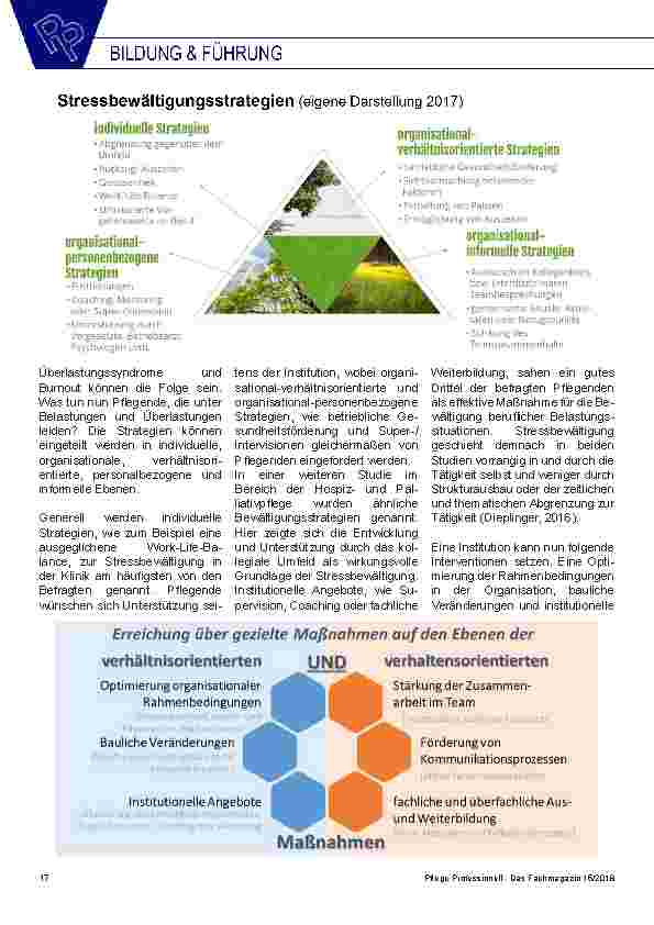 Vorschauseite 3: „Stressbelastung, Stresserleben und Stressbewältigungsstrategien Pflegender im Akutpflegebereich“