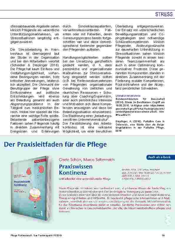 Vorschauseite 4: „Stressbelastung, Stresserleben und Stressbewältigungsstrategien Pflegender im Akutpflegebereich“