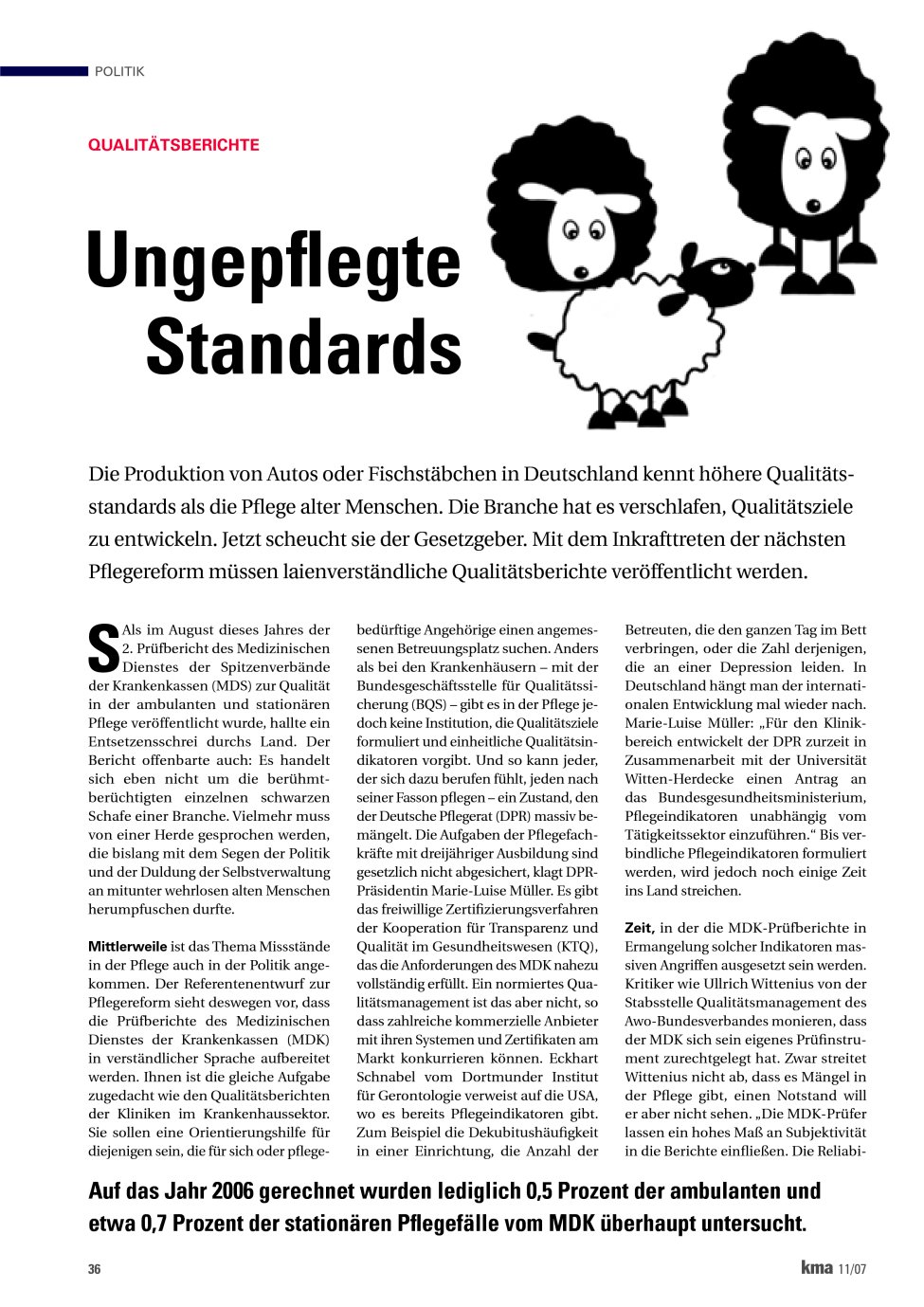 Vorschauseite 1: Ungepflegte Standards
