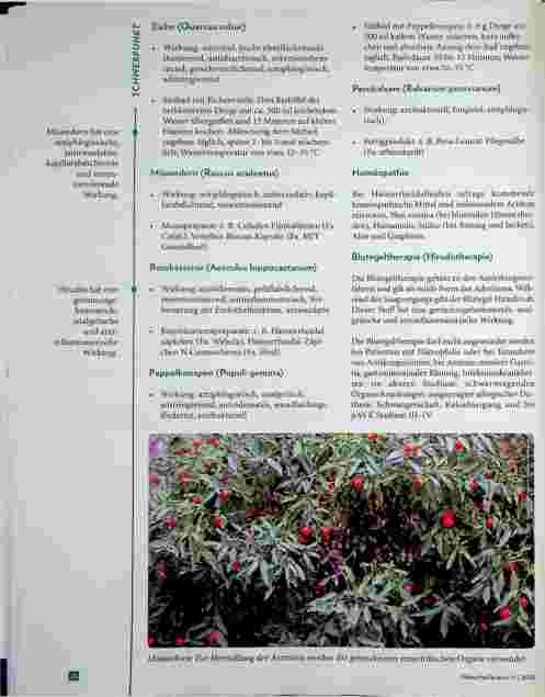 Vorschauseite 4: Hämorrhoiden - (k)ein Tabuthema