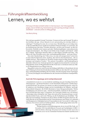 Vorschauseite 1: Führungskräfteentwicklung Lernen, wo es wehtut