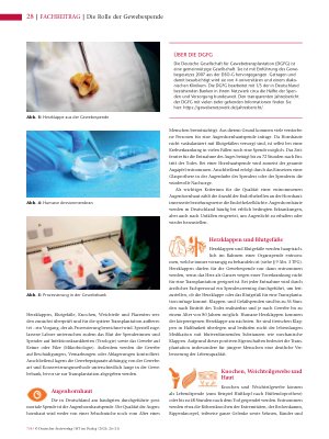 Vorschauseite 3: Großer Bedarf, wenig Beachtung: Die Rolle der Gewebespende in der Transplantationsmedizin