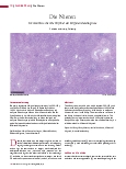 Vorschauseite 1: Die Nieren-Immunhistochemie hilft bei der Differenzialdiagnose.