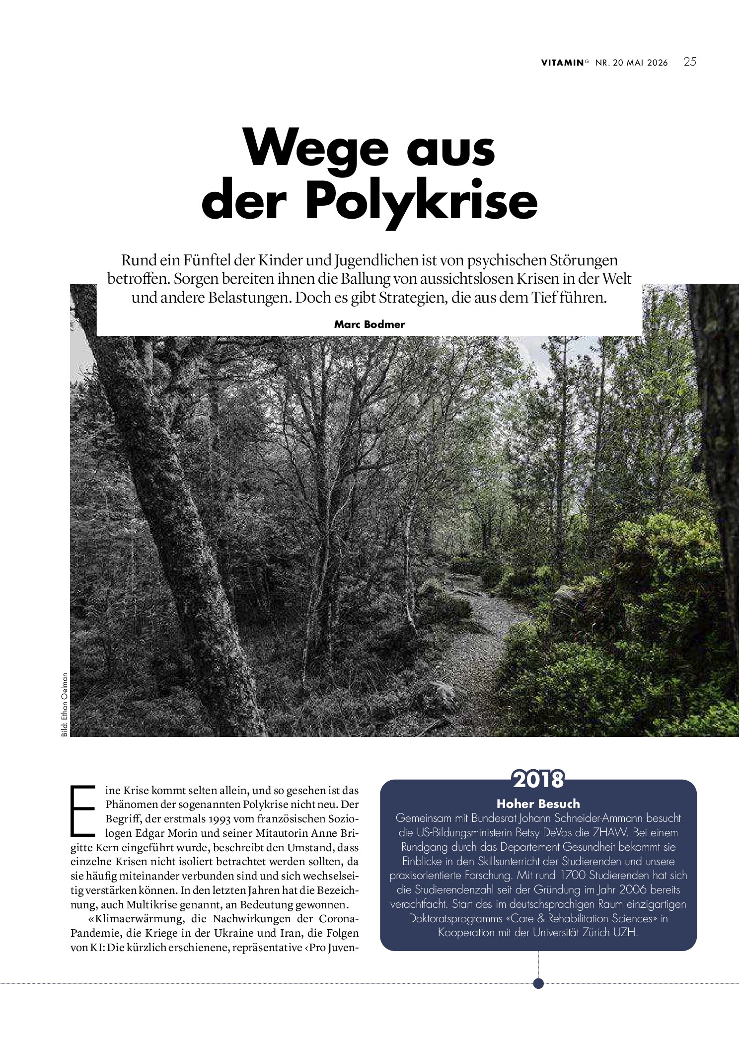 Vorschauseite 1: Wege aus der Polykrise