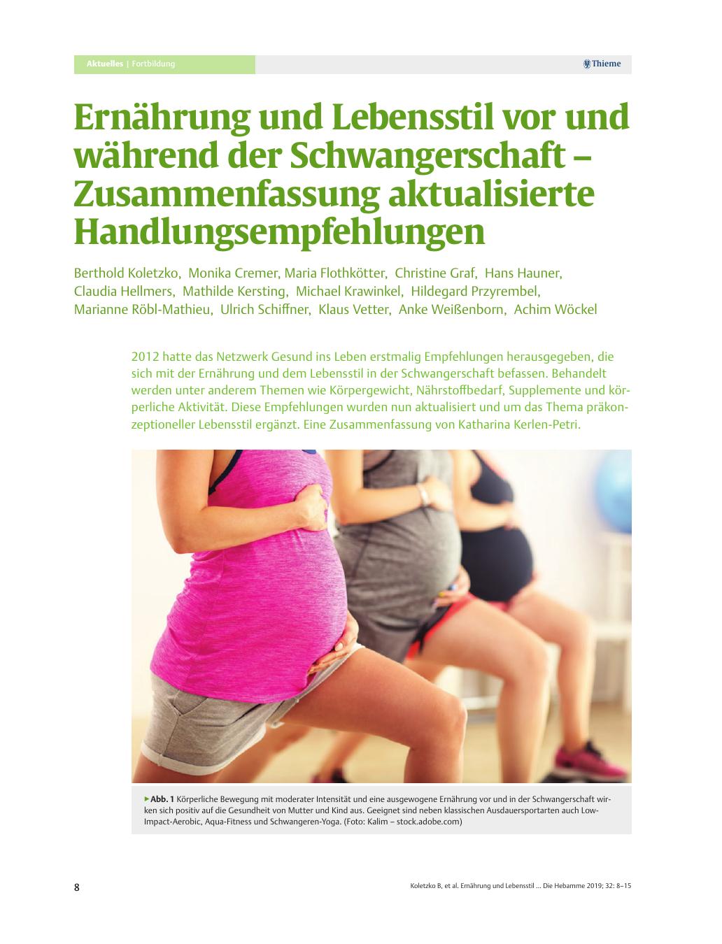 Vorschauseite 1: Ernährung und Lebensstil vor und während der Schwangerschaft – Zusammenfassung aktualisierte Handlungsempfehlungen