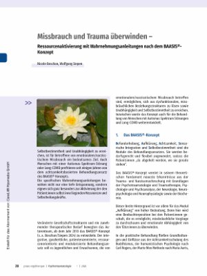 Vorschauseite 1: Missbrauch und Trauma überwinden - Ressourcenaktivierung mit Wahrnehmungsanleitungen nach dem BAASIS®- Konzept