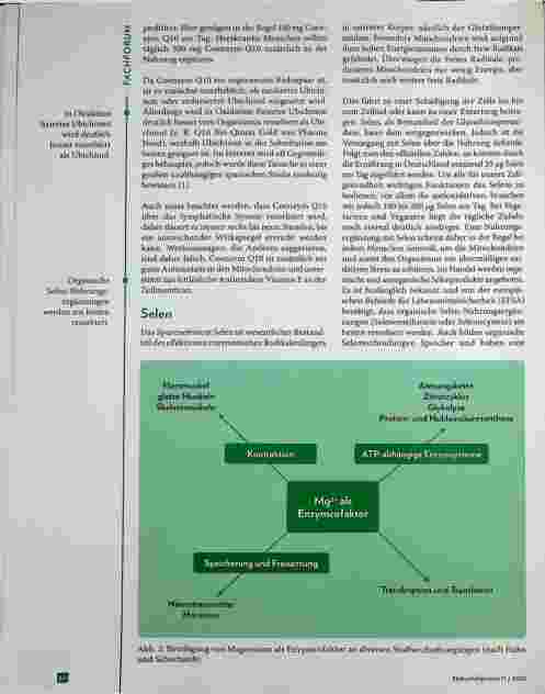 Vorschauseite 3: Mitochondriopathie
