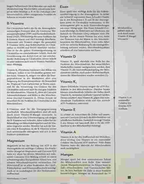 Vorschauseite 4: Mitochondriopathie