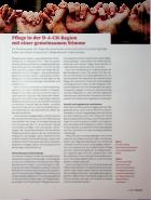 Vorschauseite 1: Pflege in der D-A-CH-Region mit einer gemeinsamen Stimme