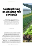 Vorschauseite 1: Salatzüchtung im Einklang mit der Natur