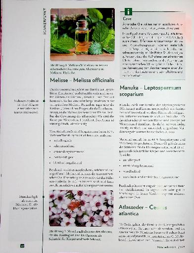 Vorschauseite 2: Schnupperkurs Aromatherapie bei Heuschnupfen
