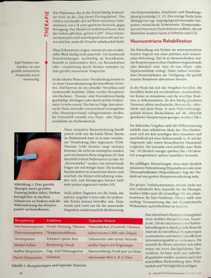 Vorschauseite 2: Unter der Oberfläche Neurozentrierte Rehabilitation von Narben