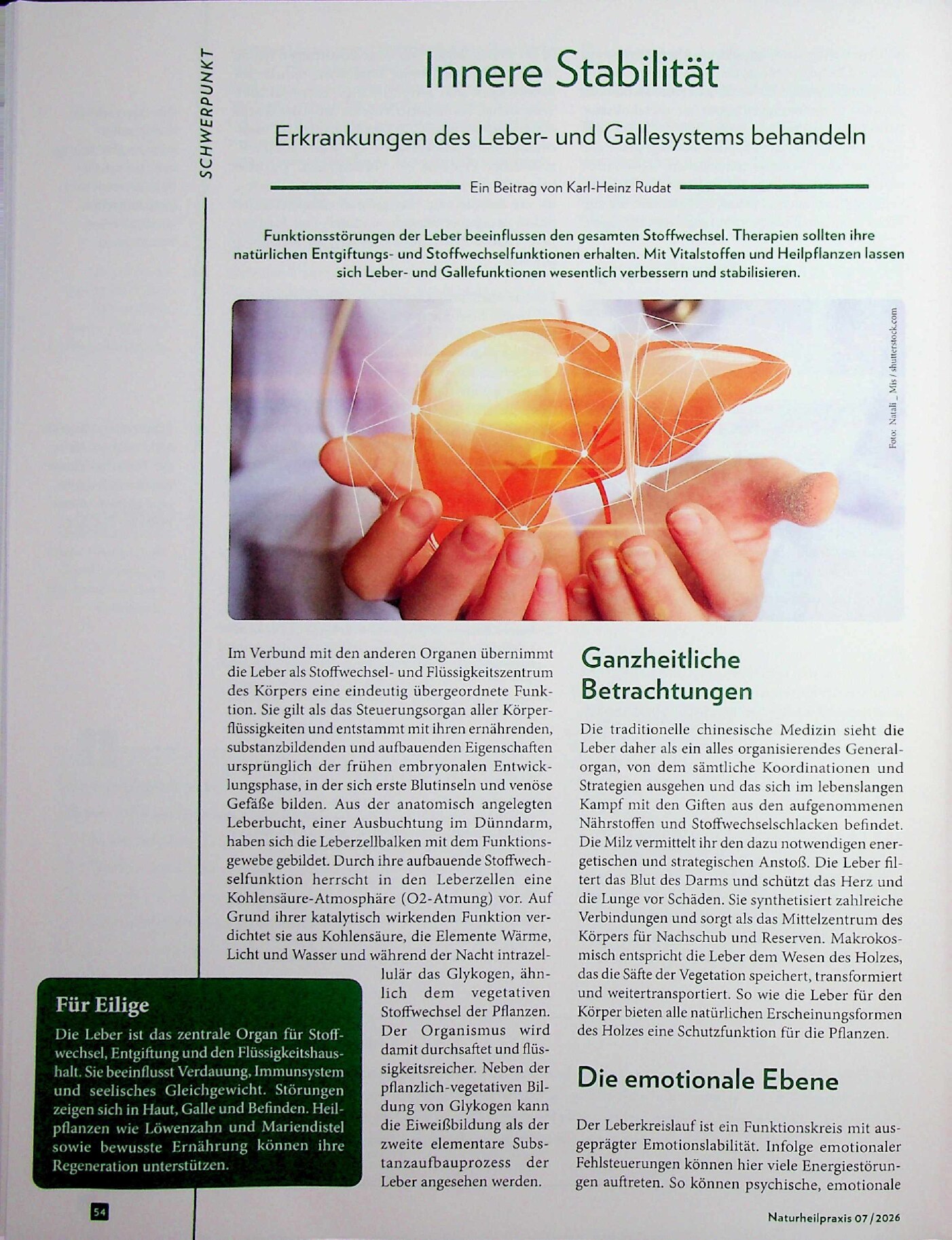 Vorschauseite 1: Innere Stabilität: Erkrankungen des Leber- und Gallesystems behandeln